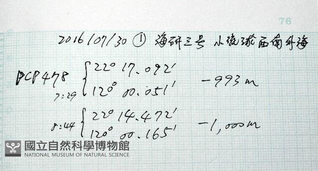未知種深海側甲鉤蝦藏品圖，第11張