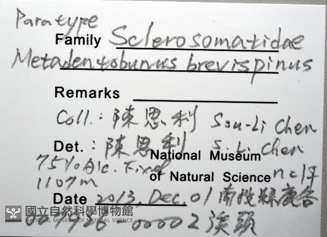 登錄號:007926-00002藏品圖，第11張
