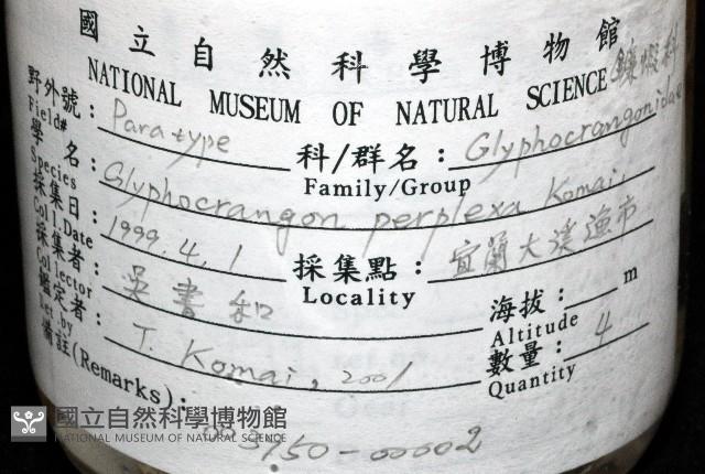 新種雕褐蝦藏品圖，第11張