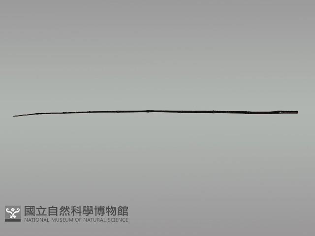 上掛葫蘆小祭桿藏品圖，第11張