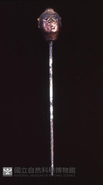 三十六天將藏品圖，第11張