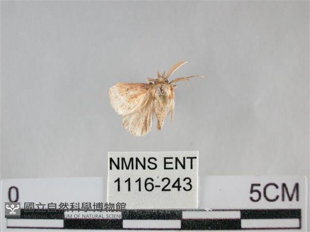 登錄號:001116-00243藏品圖，第1張