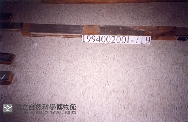 屋宅木構件藏品圖，第1張