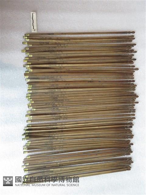 籤枝藏品圖，第1張