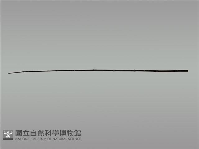 祭桿藏品圖，第1張