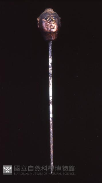 Accession Number:0000001954.0029 Collection Image