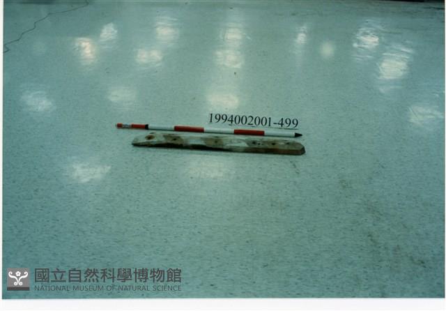 屋宅木構件藏品圖，第1張