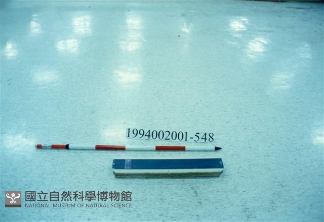 屋宅木構件藏品圖，第1張