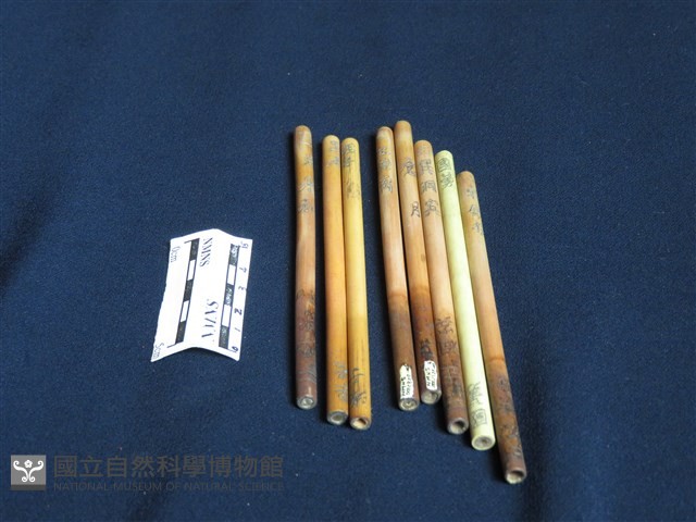 八卦籤枝藏品圖，第1張