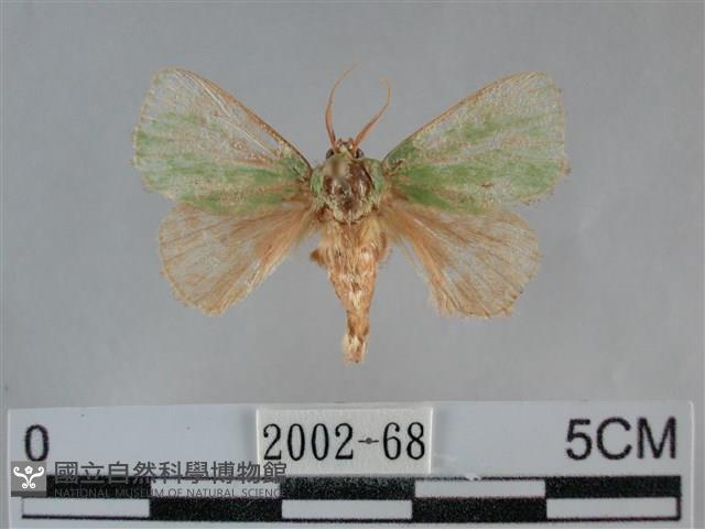 登錄號:002002-00068藏品圖，第1張