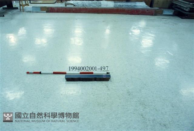 屋宅木構件藏品圖，第1張