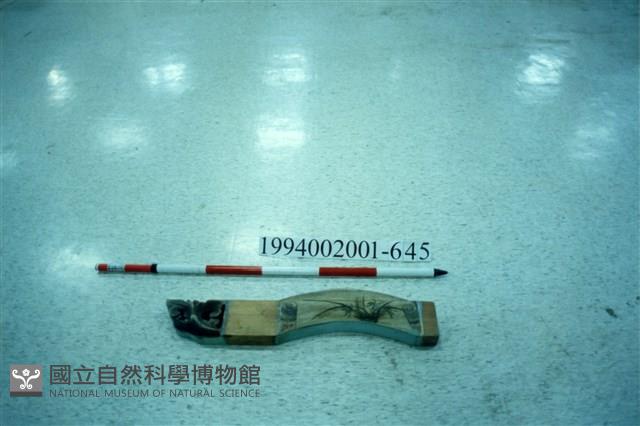 屋宅木構件藏品圖，第1張