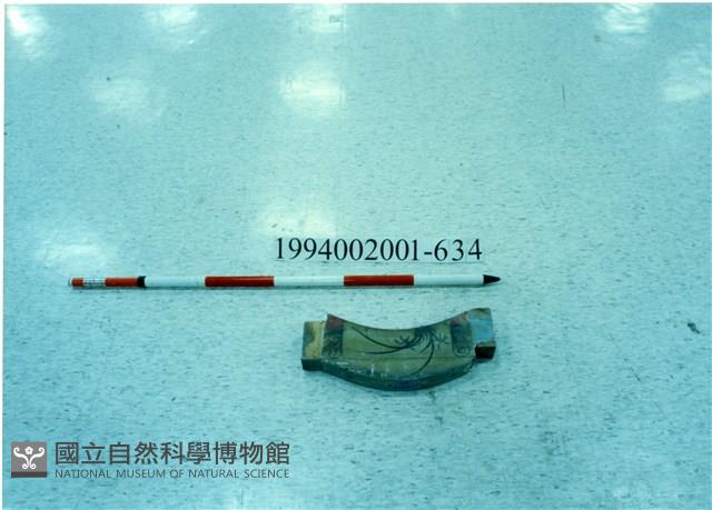 屋宅木構件藏品圖，第1張