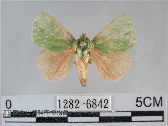 登錄號:001282-06842藏品圖，第1張