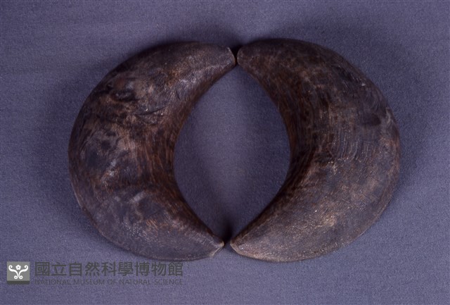神筊藏品圖，第1張