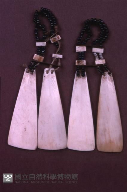 骨耳飾藏品圖，第1張