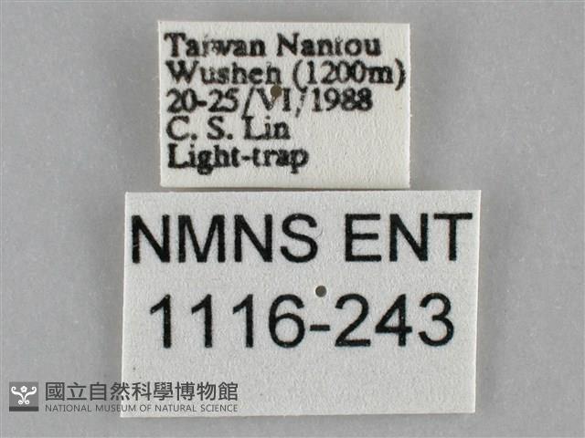 登錄號:001116-00243藏品圖，第3張