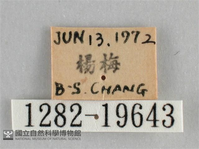 登錄號:001282-19643藏品圖，第3張