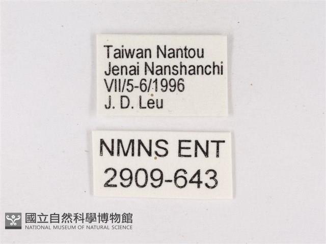 嫵琉灰蝶藏品圖，第3張