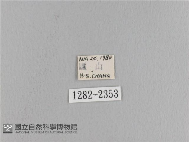 松大毛蟲藏品圖，第3張