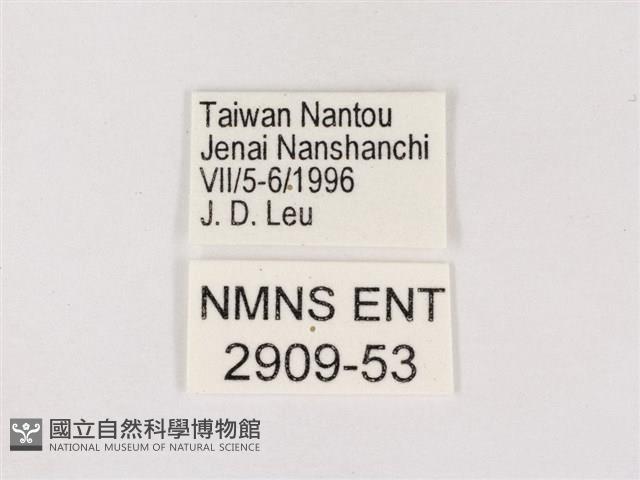 嫵琉灰蝶藏品圖，第3張