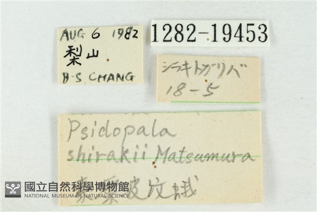 素木氏美波紋蛾藏品圖，第3張