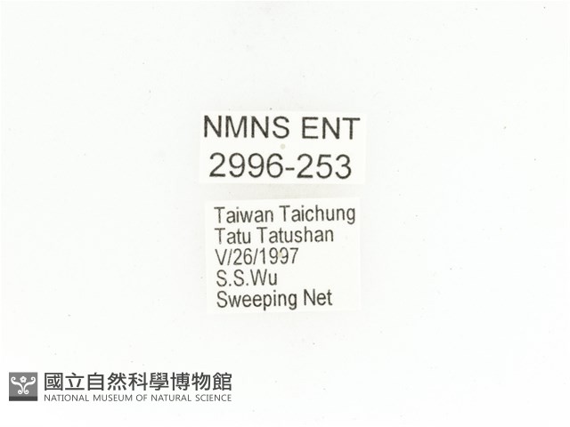 銅點花金龜藏品圖，第2張