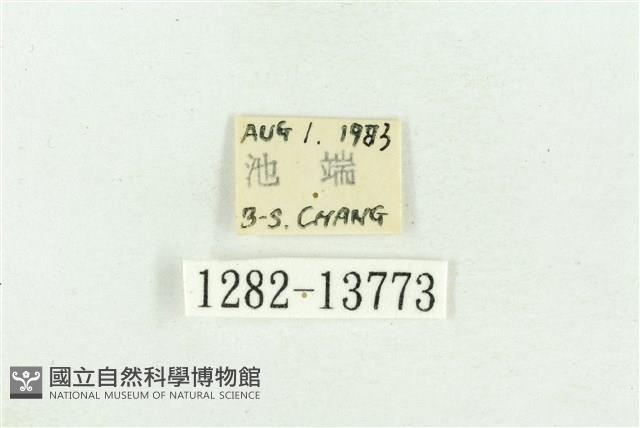 紅暈散紋夜蛾藏品圖，第3張