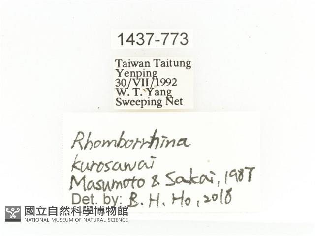 姬黑騷金龜藏品圖，第2張