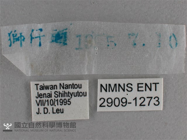曲紋袖弄蝶藏品圖，第3張