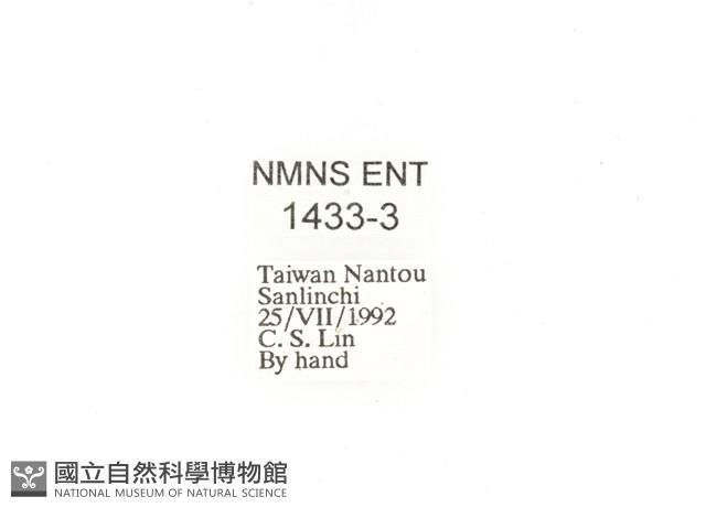 金艷騷金龜藏品圖，第2張