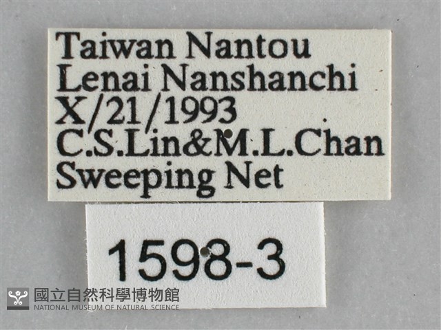 琉璃蛺蝶藏品圖，第3張