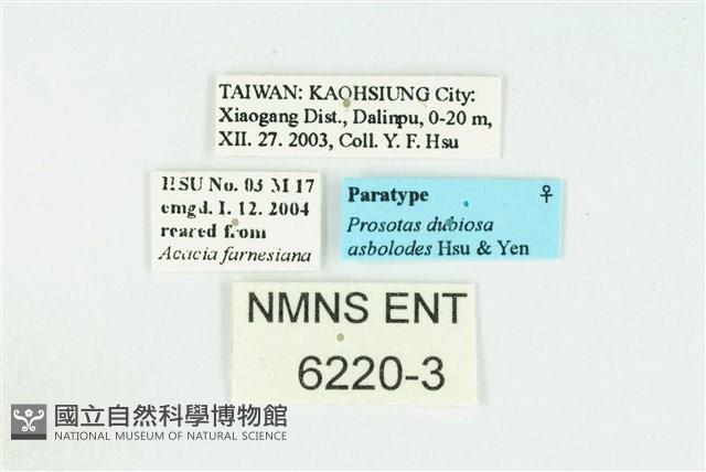 Accession Number:006220-00003 Collection Image, Figure 3, Total 3 Figures
