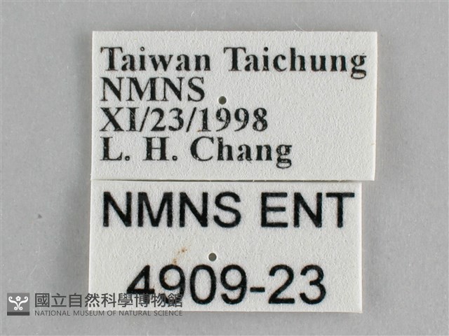 琺蛺蝶藏品圖，第3張