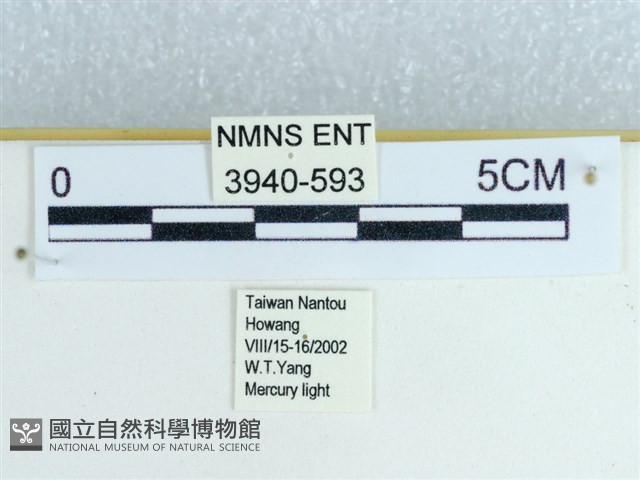 登錄號:003940-00593藏品圖，第3張