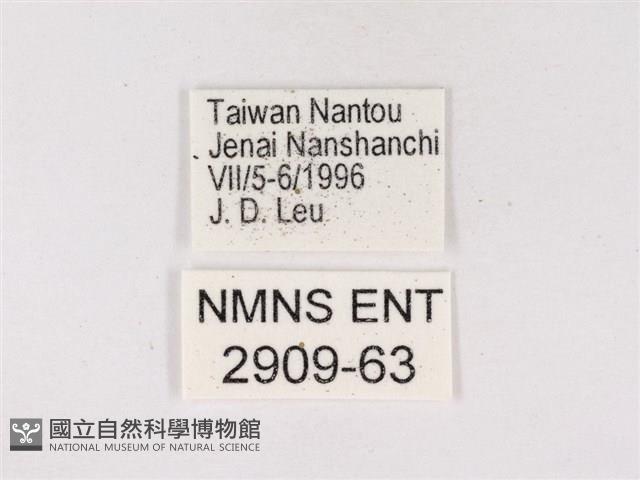 嫵琉灰蝶藏品圖，第3張