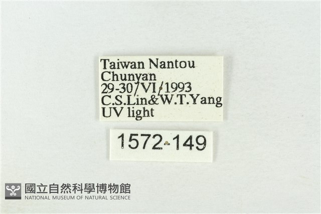 基褐綠刺蛾藏品圖，第3張