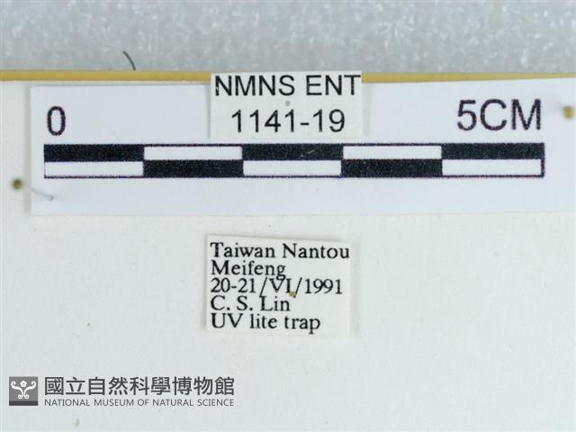 登錄號:001141-00019藏品圖，第3張