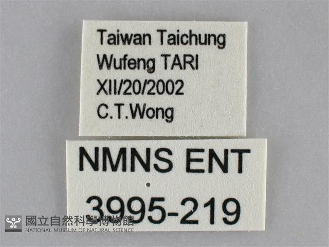 登錄號:003995-00219藏品圖，第3張
