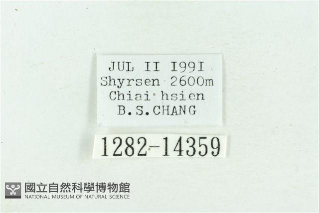 粉紅帶散紋夜蛾藏品圖，第3張