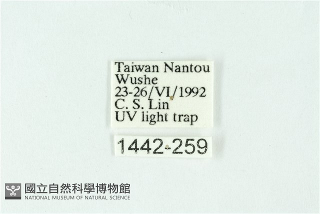 三色豔苔蛾藏品圖，第3張
