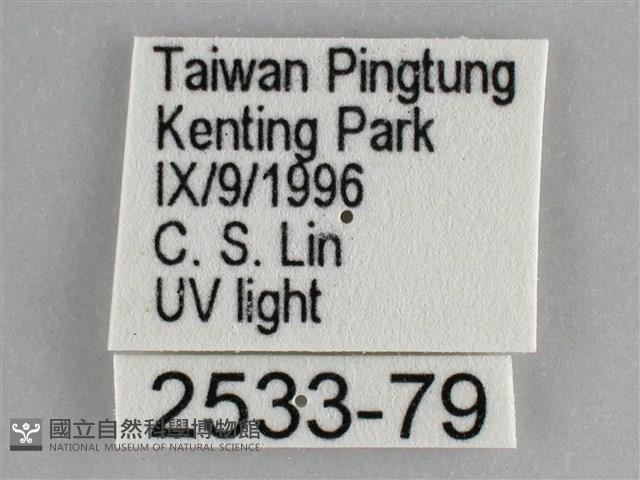 扁刺蛾藏品圖，第3張