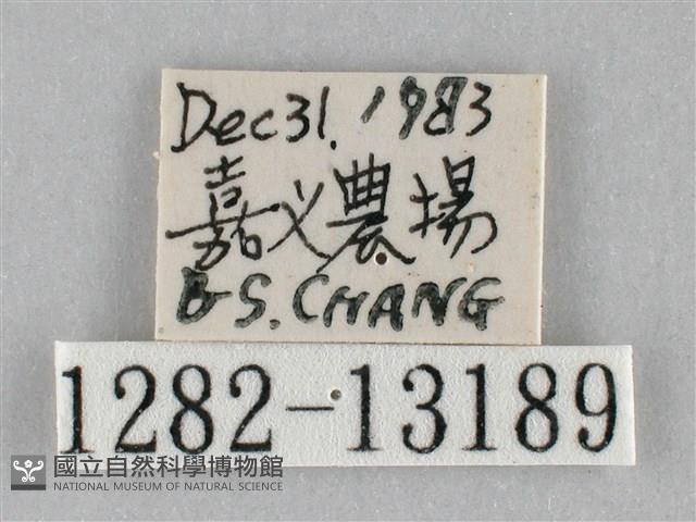 登錄號:001282-13189藏品圖，第3張