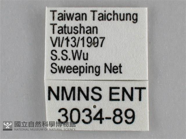 遷粉蝶、淡黃蝶藏品圖，第3張