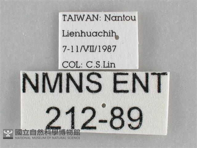 登錄號:000212-00089藏品圖，第3張