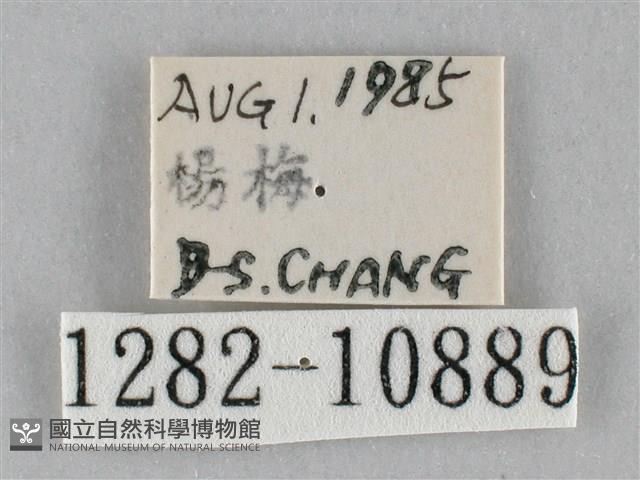 登錄號:001282-10889藏品圖，第3張