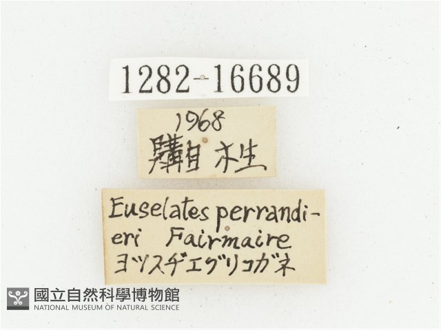 巴蘭陷紋金龜藏品圖，第2張