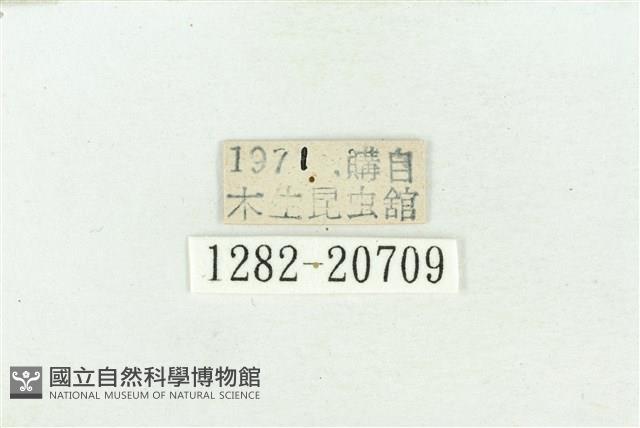 Accession Number:001282-20709 Collection Image, Figure 3, Total 3 Figures