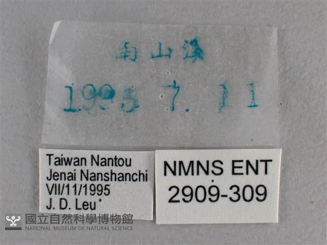 曲紋袖弄蝶藏品圖，第3張