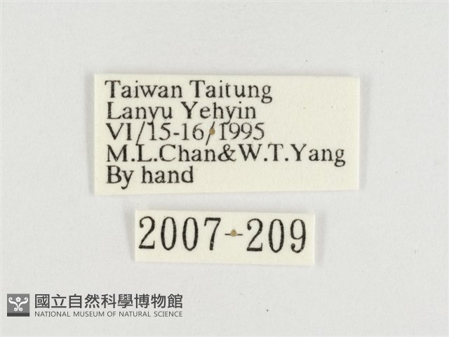 Accession Number:002007-00209 Collection Image, Figure 3, Total 3 Figures